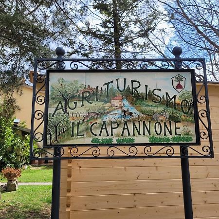 Agriturismo Il Capannone Монтемерано Екстер'єр фото