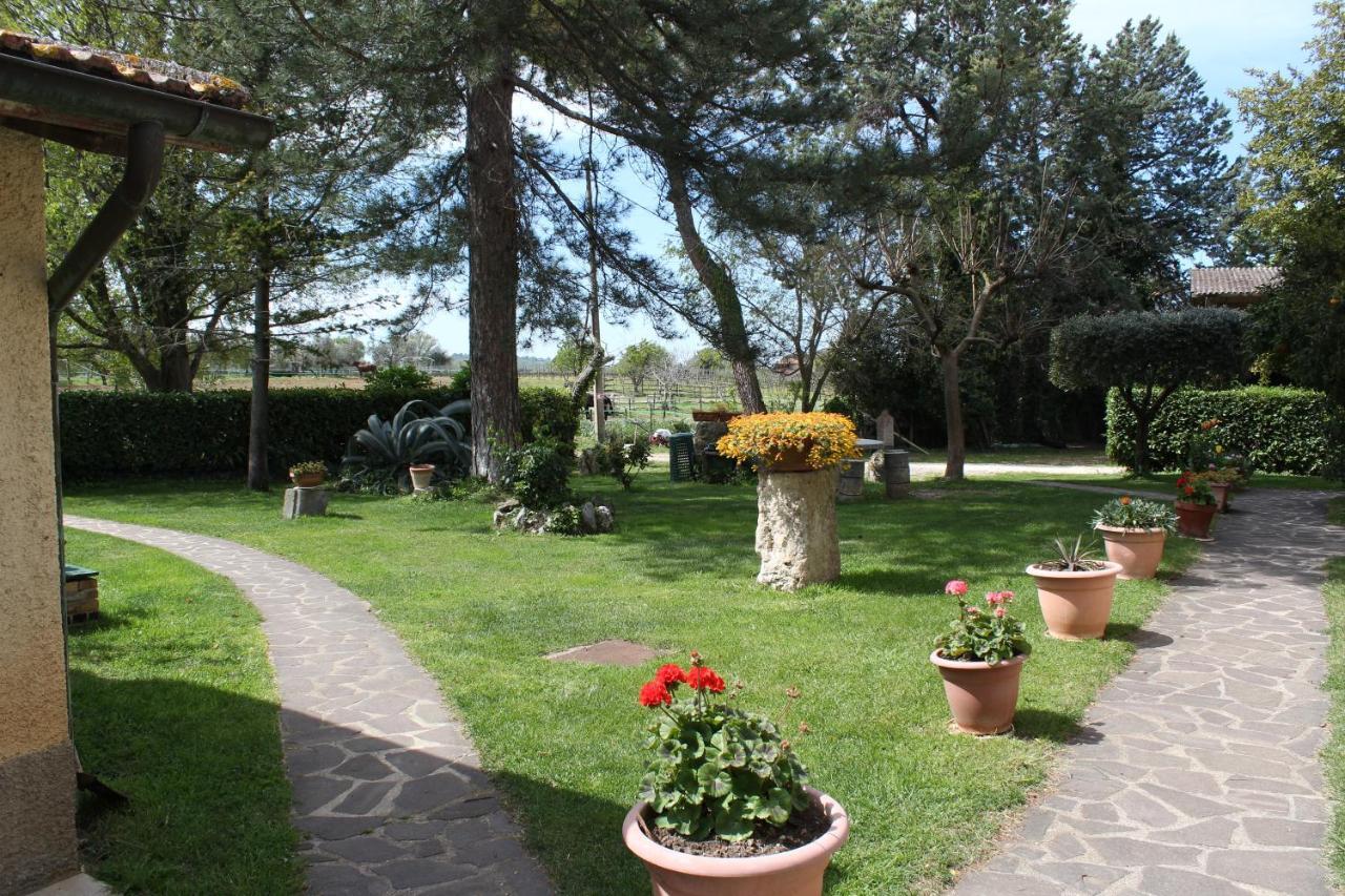 Agriturismo Il Capannone Монтемерано Екстер'єр фото